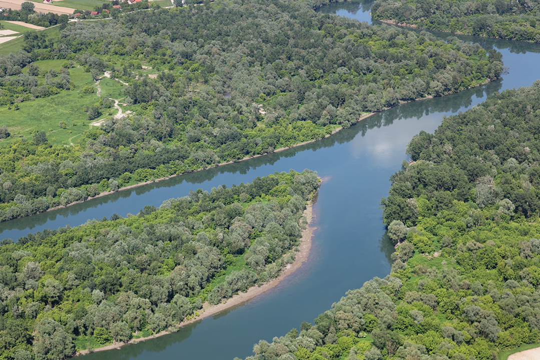 Die Save Rettet das blaue Herz Europas