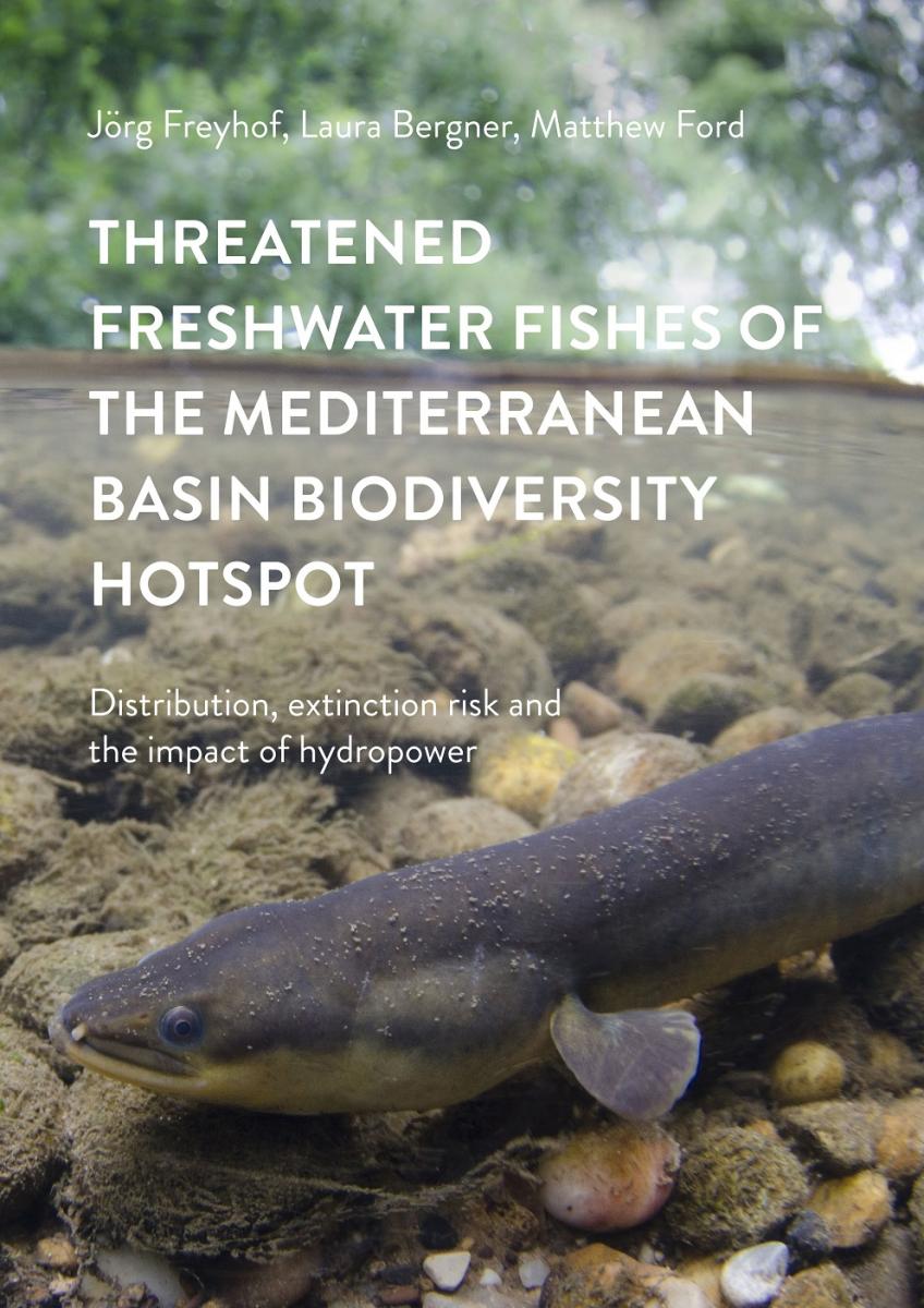 small european freshwater fish