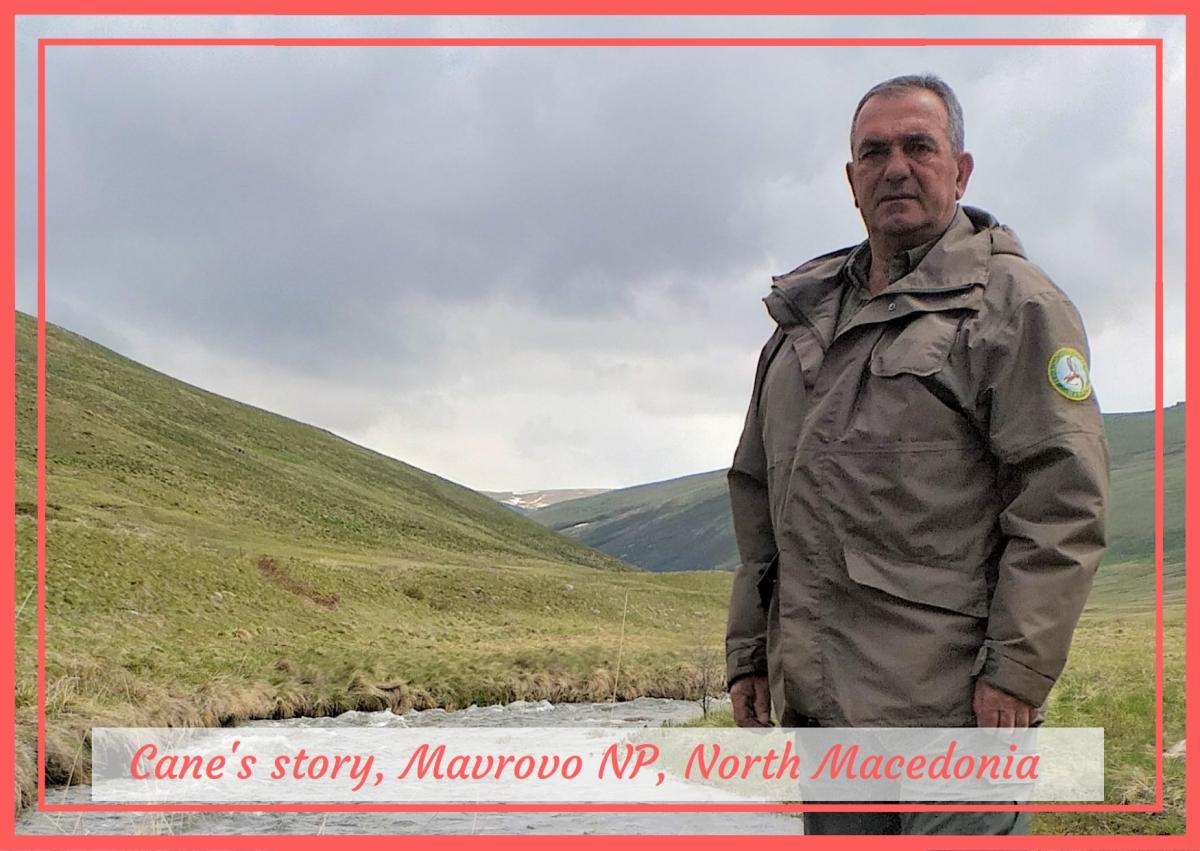 Cane Petreski. Rivers of Mavrovo National Park. Republic of North