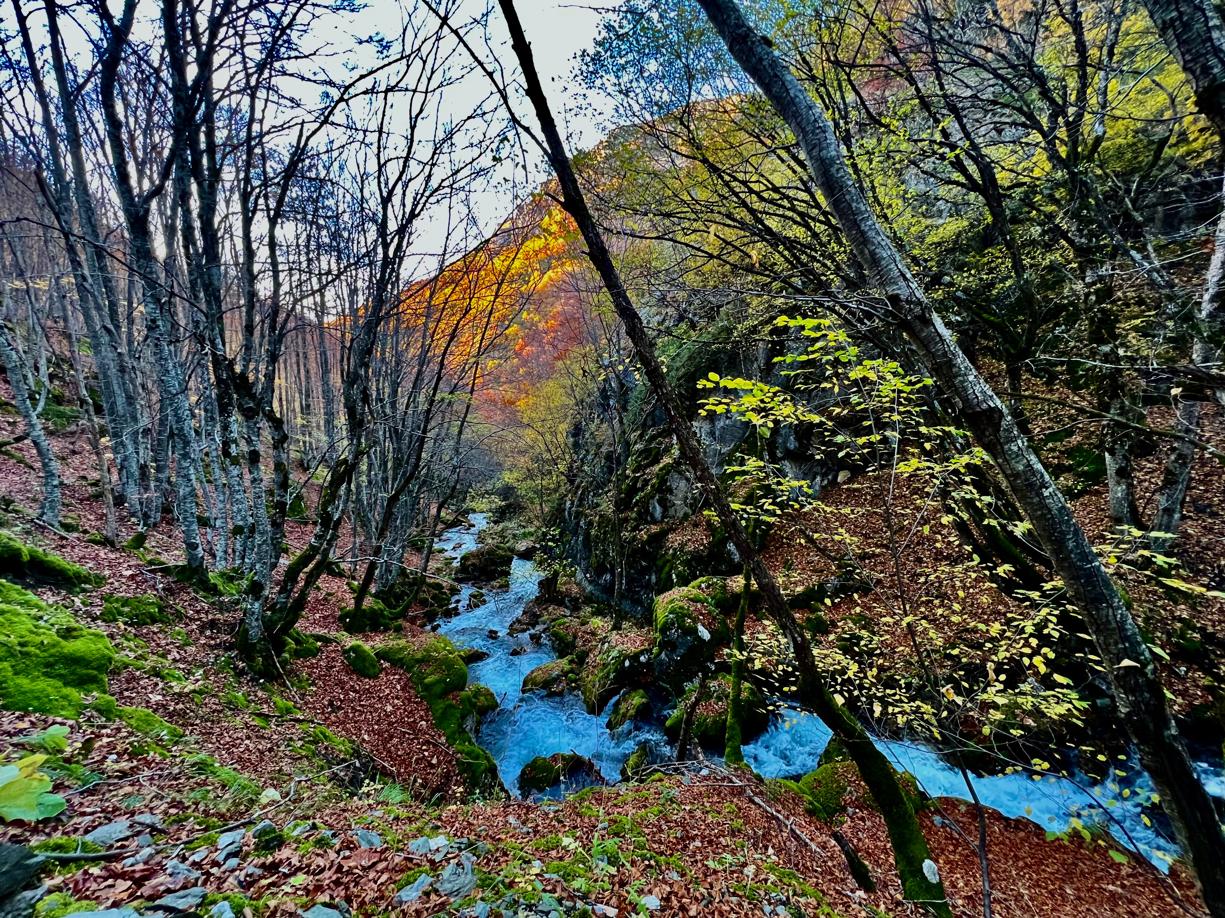 Rivers of Mavrovo National Park | Save the Blue Heart of Europe
