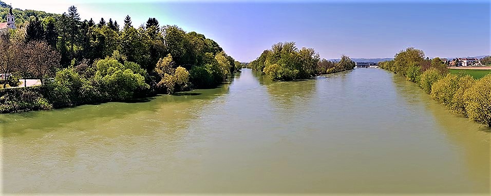 Zusammenfluss der Flüsse Sava und Krka in Slowenien. Der Fluss Sava ist ein wichtiger Lebensraum für Fischarten © Marko Zupančič