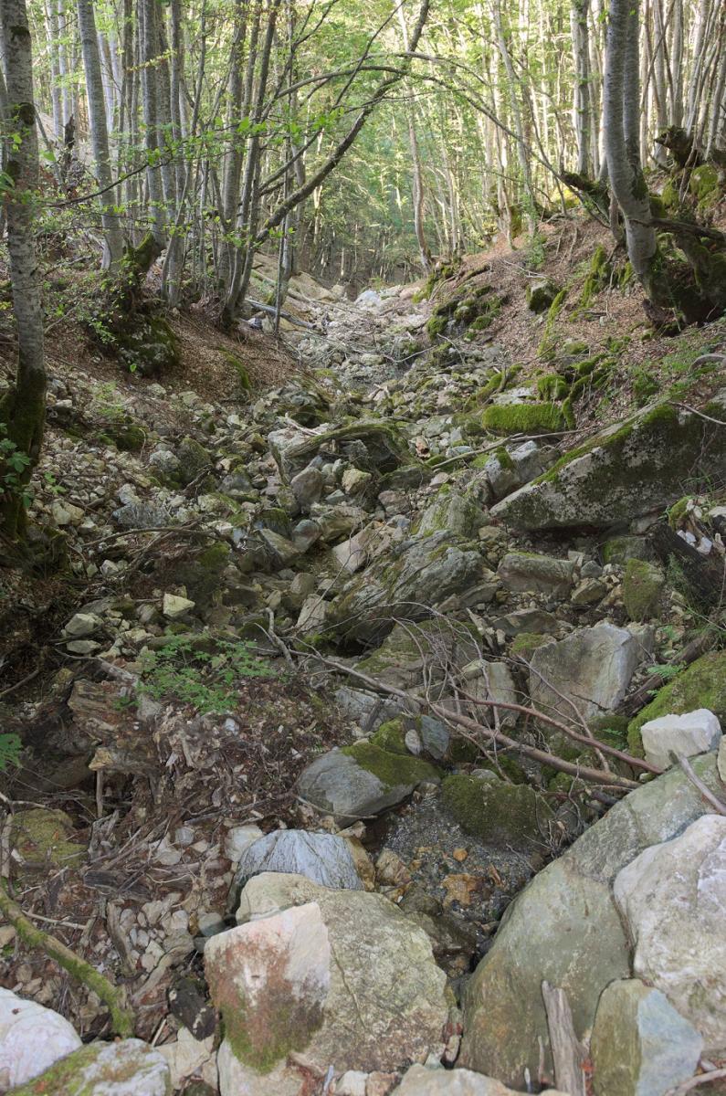 …und das Flussbett fällt trocken. © Stojan Lešoski