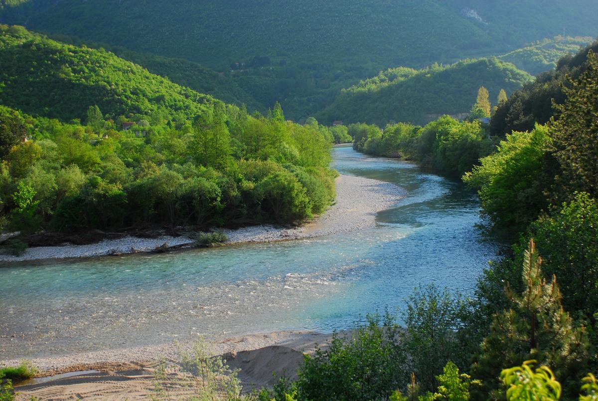 Campaign | Save the Blue Heart of Europe