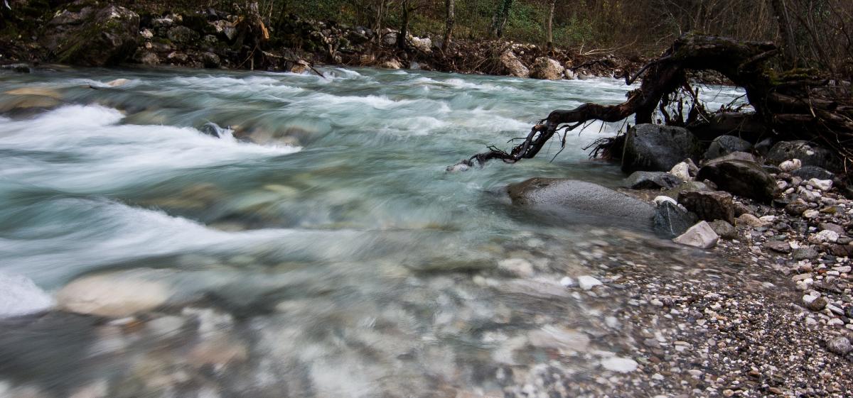 Der Doljanka-Fluss in Bosnien-Herzegowina ist in Gefahr. Bitte unterschreibe die Petition! © Anes Podic 