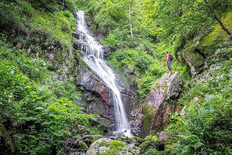 In the Stara Planina Nature Park, 57 hydropower projects have now been stopped. © Milan Simonovic