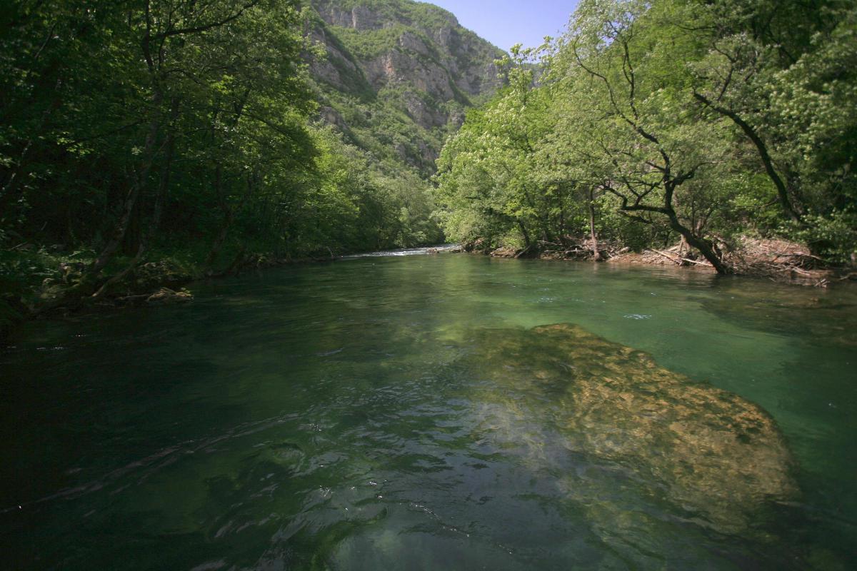 Die Sana, einer der sechs wichtigsten Flüsse für den Huchen. Foto: Luka Tomac