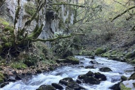 Mala Fluss: Mala und Radika wären beide von der Wasserabführung und dem täglichen Schwallbetrieb des Wasserkraftwerk Boskov Most betroffen.