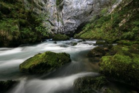 The Sana river, one of the 6 last remaining Huchen refugiums.