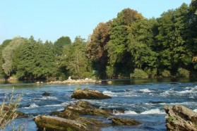 The Sava River (SLO/HR/BIH/RS)