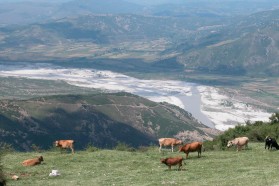 Vjosa Flusslandschaft.