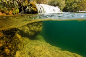 The wetland conditions in this biotope occur because rivers often form slow, pond-like pools.