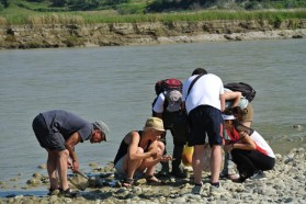 Arbeitsgruppe "Makrozoobenthos" auf der Suche nach kleinen Insekten.