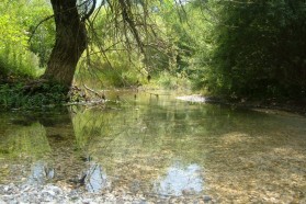 Krka River.