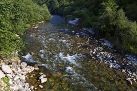 Radika.