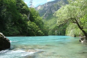 Tara (ME): 8 geplante Wasserkraftprojekte bedrohen den Fluss.